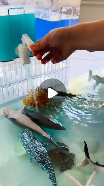 BloomHouse Instagram reel preview 4